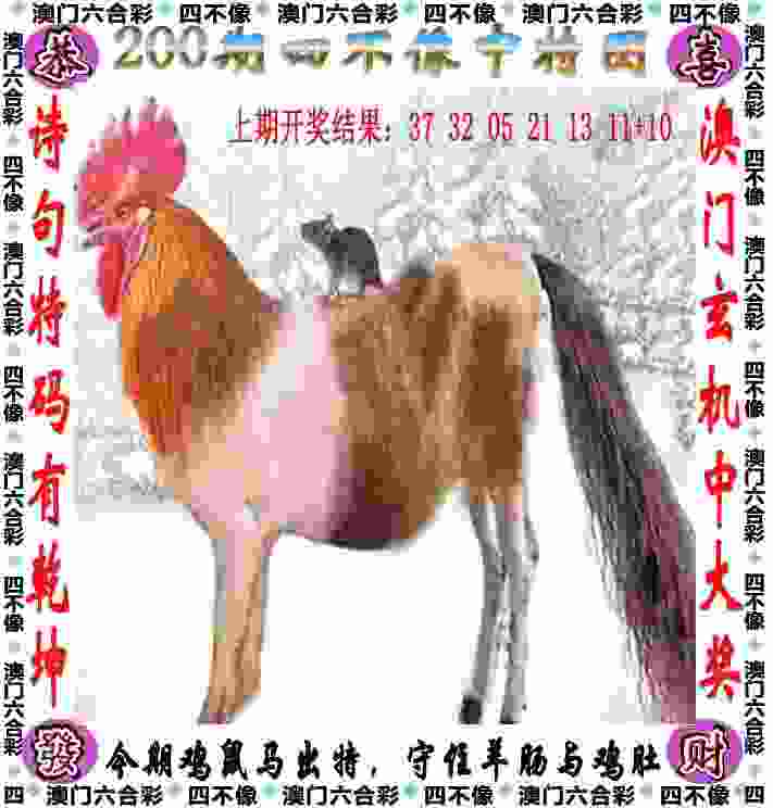 2025年新奥免费正版软件下载大全-2025年最新免费资料下载手游官方正版下载v1   .72   .736   -2278安卓网